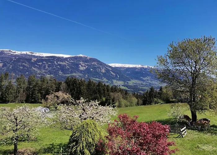 Ferienwohnung Bergblick
